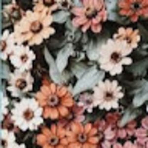 Meet your Posher, Dalani